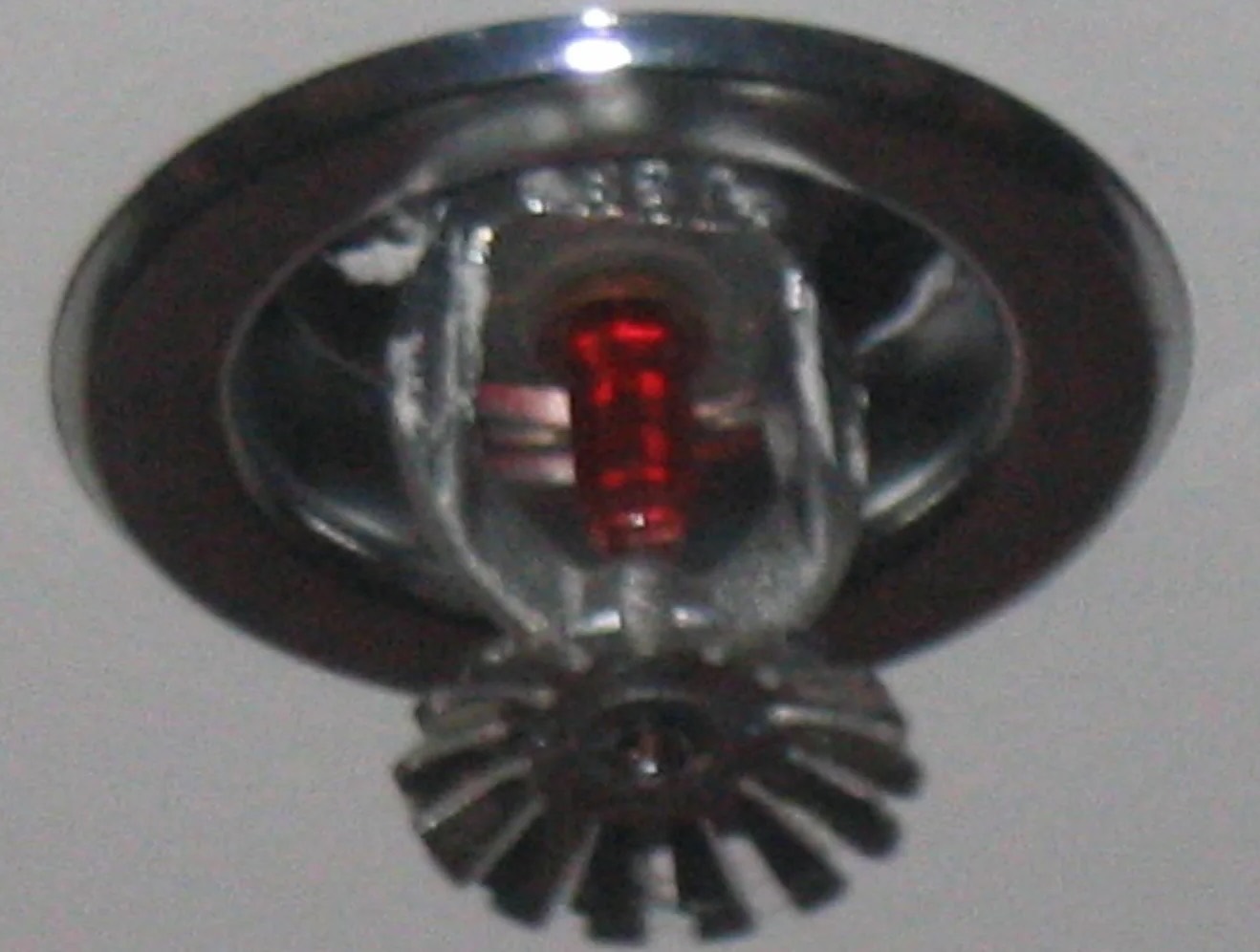 Fire Sprinkler Cleanup in Milwaukee, WI