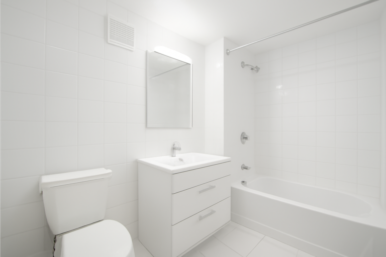 Mold remediation service
